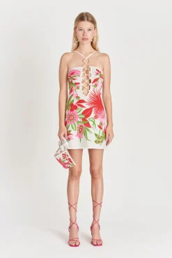 New Cult Gaia Delilah Knit Dress La Selva
