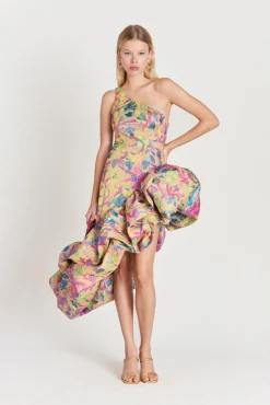 Cult Gaia Helena Gown Floral Rain
