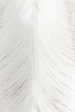 Outlet Cult Gaia Renata Gown Off White